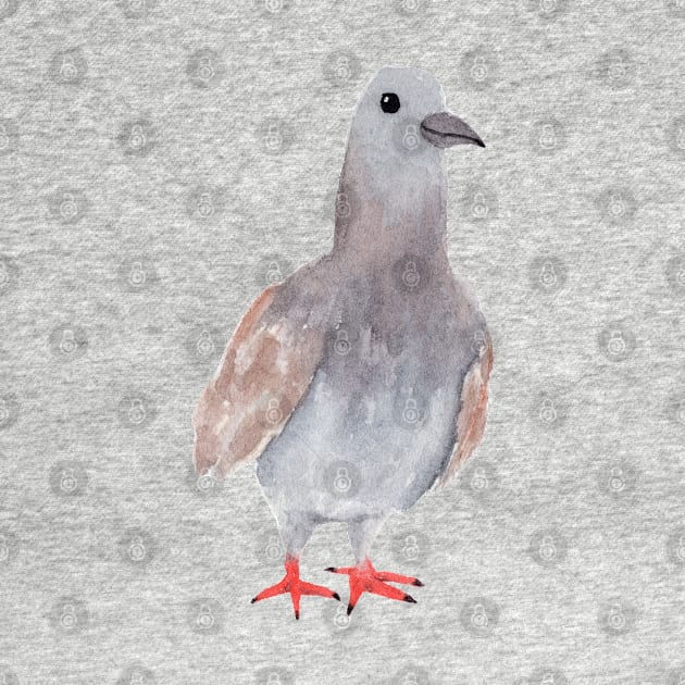 Watercolor pigeon by SRSigs